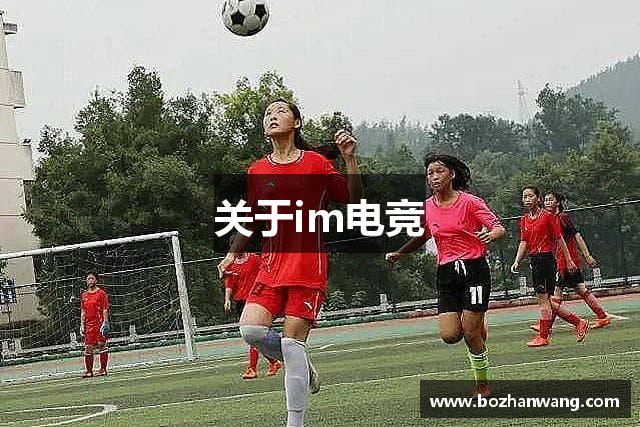 关于im电竞